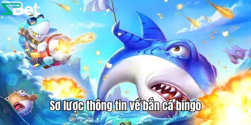 Bí quyết thành công với bộ môn bắn cá bingo