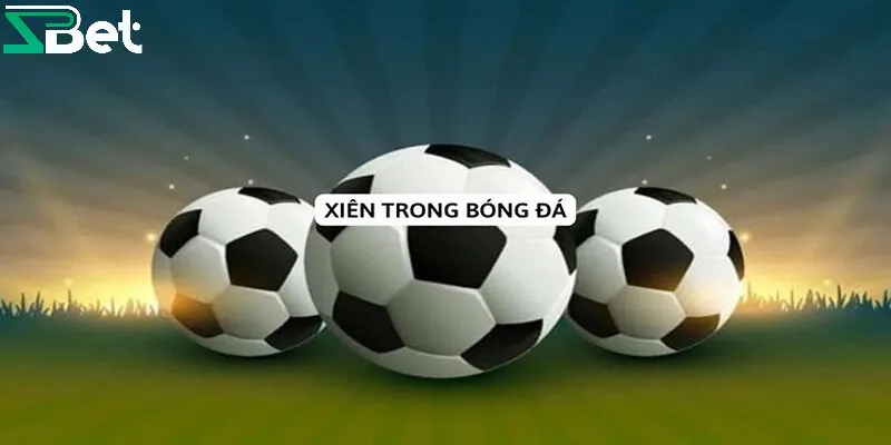 Hướng dẫn cá cược xiên bóng đá tại nhà cái Zbet