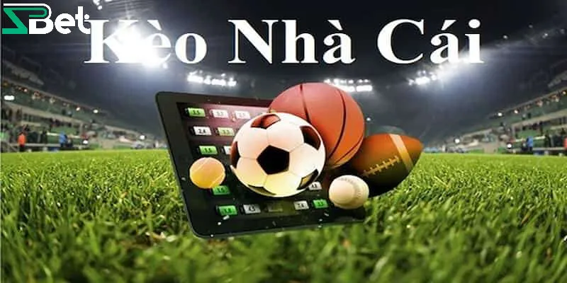 soi kèo nhà cái