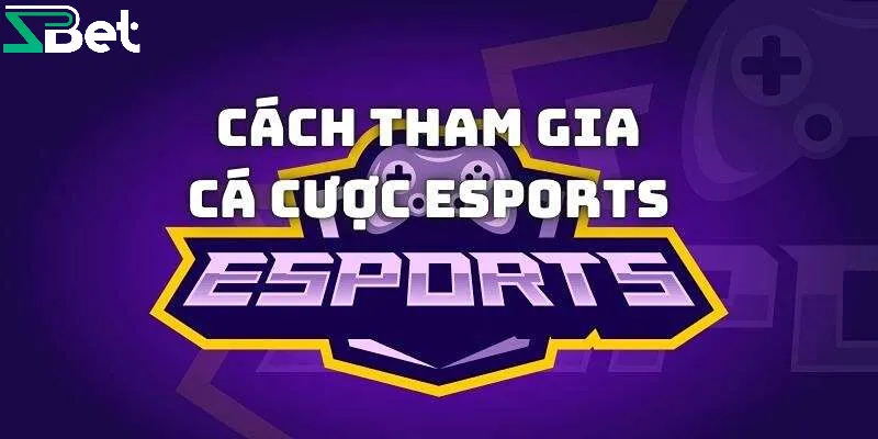 Cá cược Esports là gì?