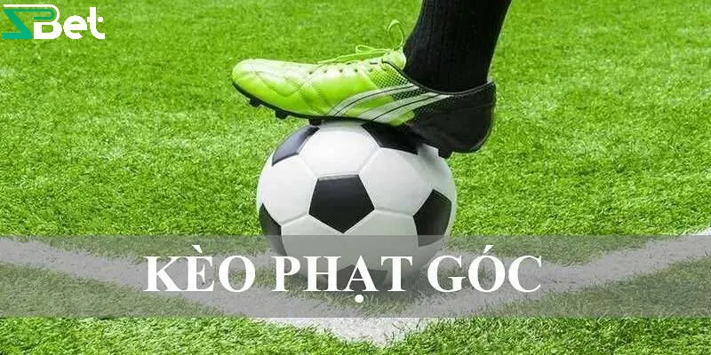 Kèo phạt góc là loại cược gì?