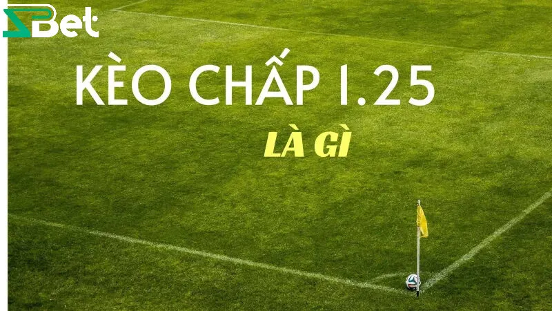 Chấp 1.25 trái là gì?