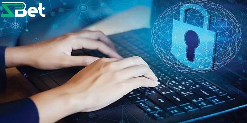 Tổng hợp các điều khoản trong chính sách bảo mật Zbet
