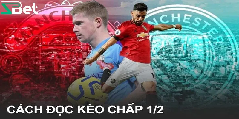 Hướng dẫn cách đọc kèo bóng 1/2 đơn giản