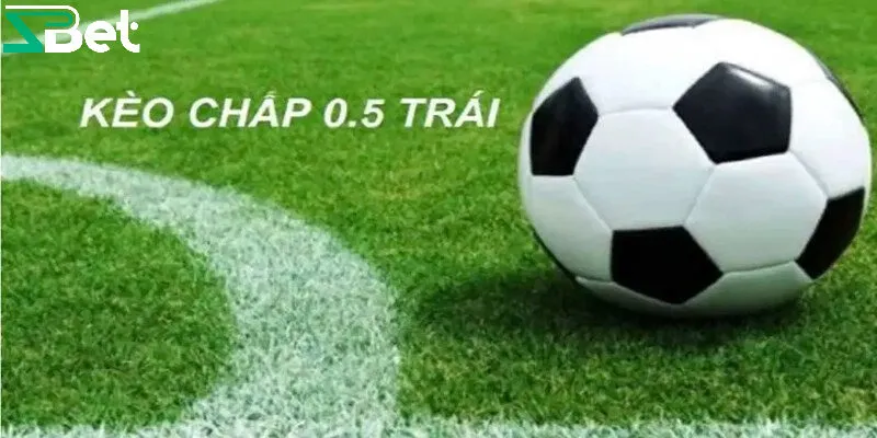 Lưu ý khi đặt cược kèo bóng 1/2 cần biết