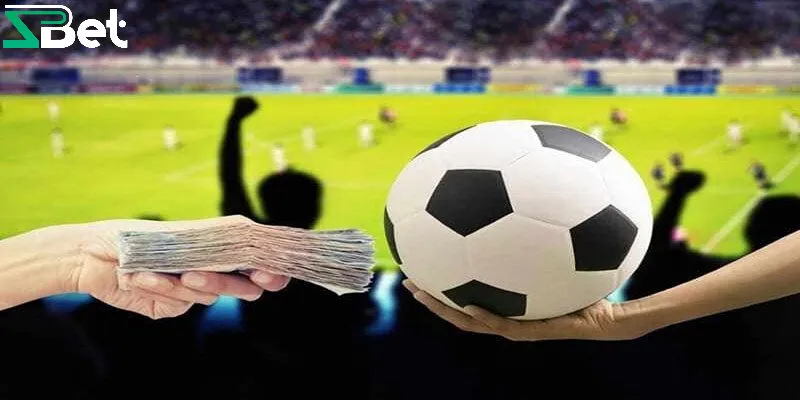Kinh nghiệm cá cược thể thao từ chuyên gia tại Zbet