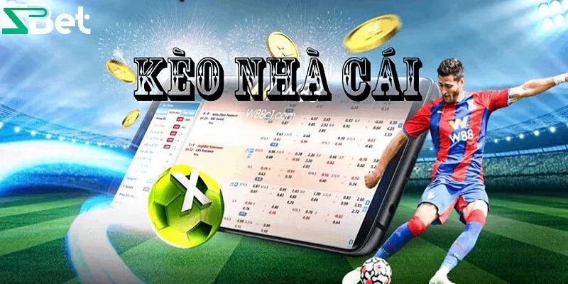 Vì sao nên soi kèo nhà cái?