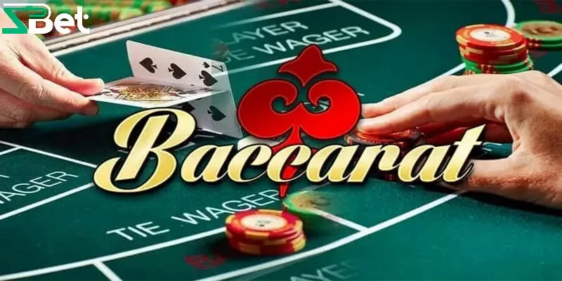 Lưu ý khi chơi Baccarat dễ thắng, ít rủi ro